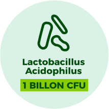 Lactobacillus Acidophilus