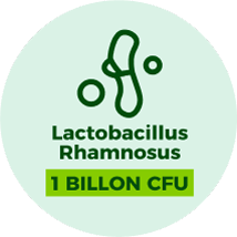 Lactobacillus Rhamnosus