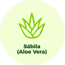 Sábila (Aloe Vera)