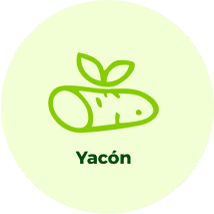 Yacón