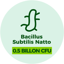 Bacilus Subtilis Natto